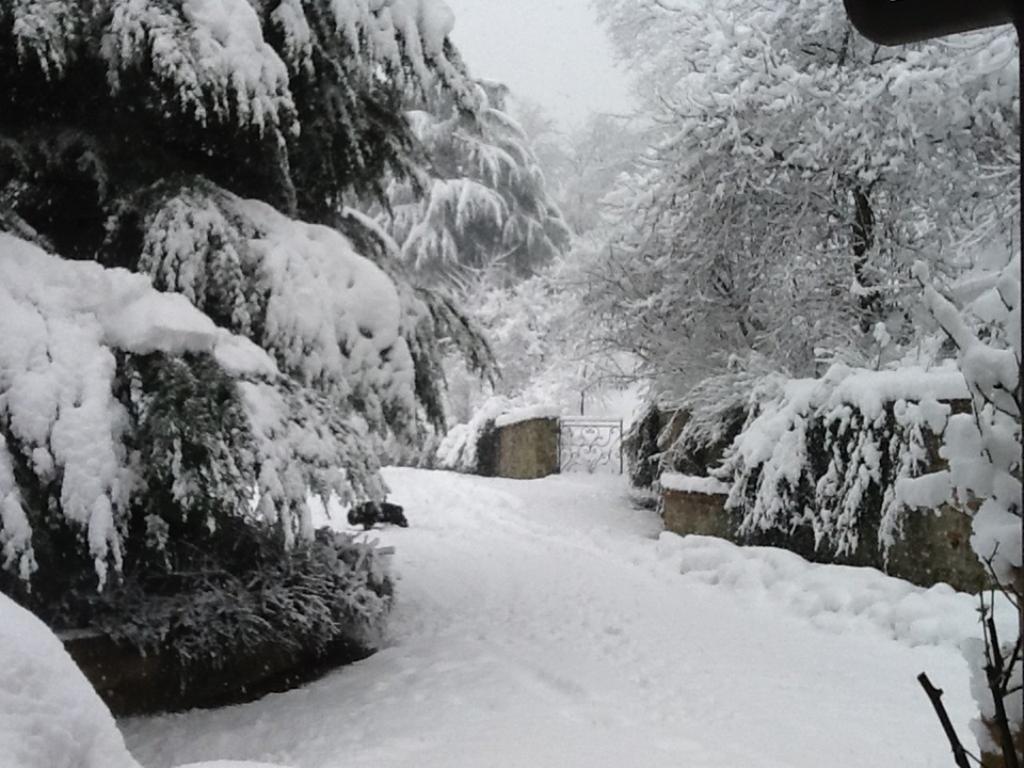 Cascina Bricco Διαμέρισμα Ovada Εξωτερικό φωτογραφία