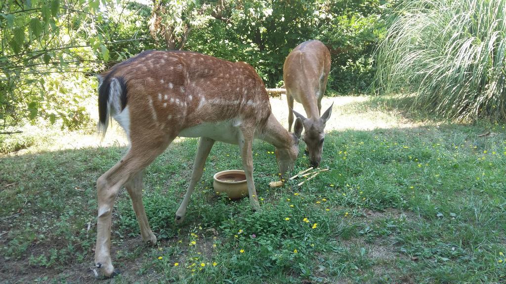 Cascina Bricco Διαμέρισμα Ovada Εξωτερικό φωτογραφία